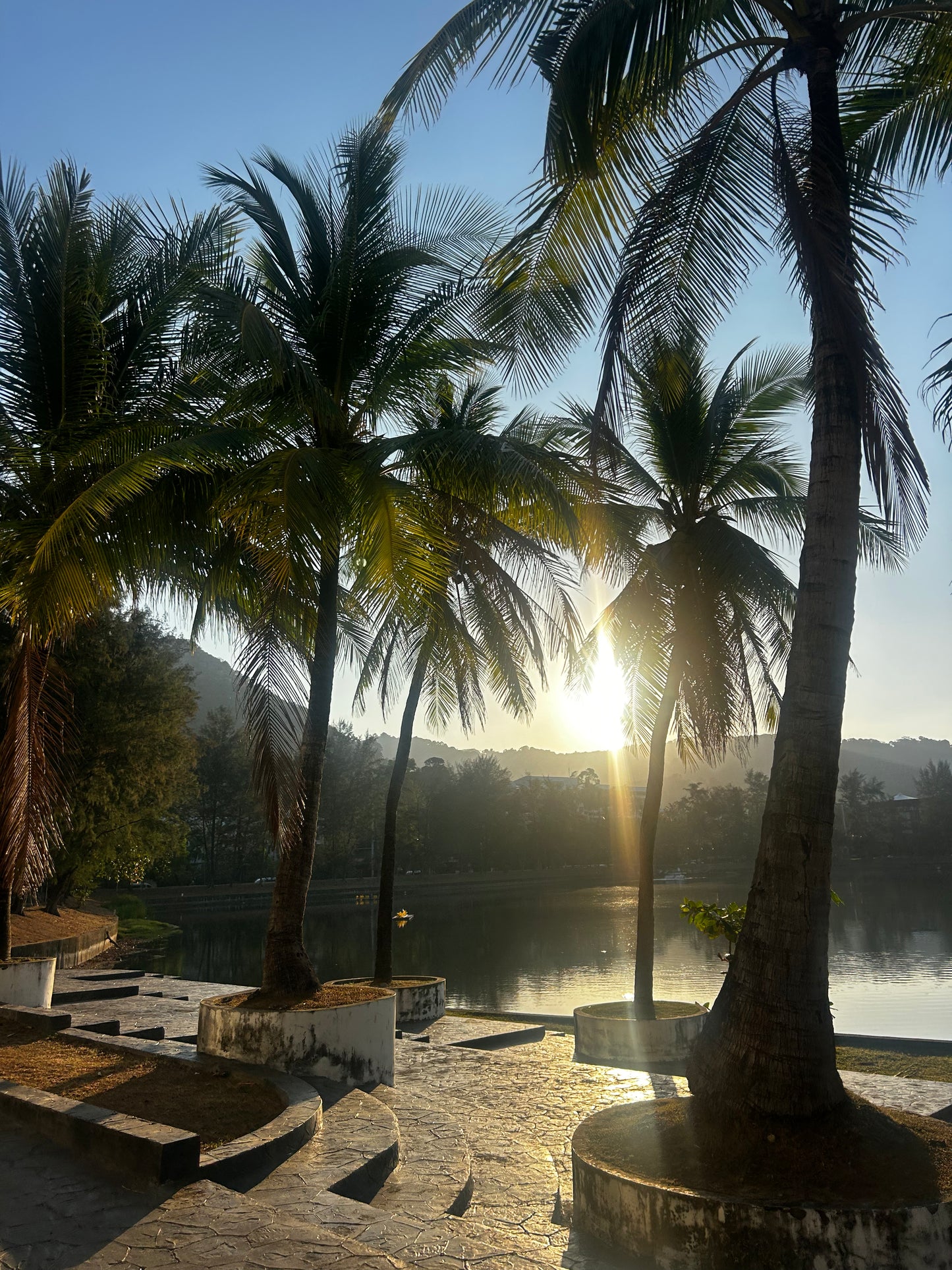 The Running Camp May 2026