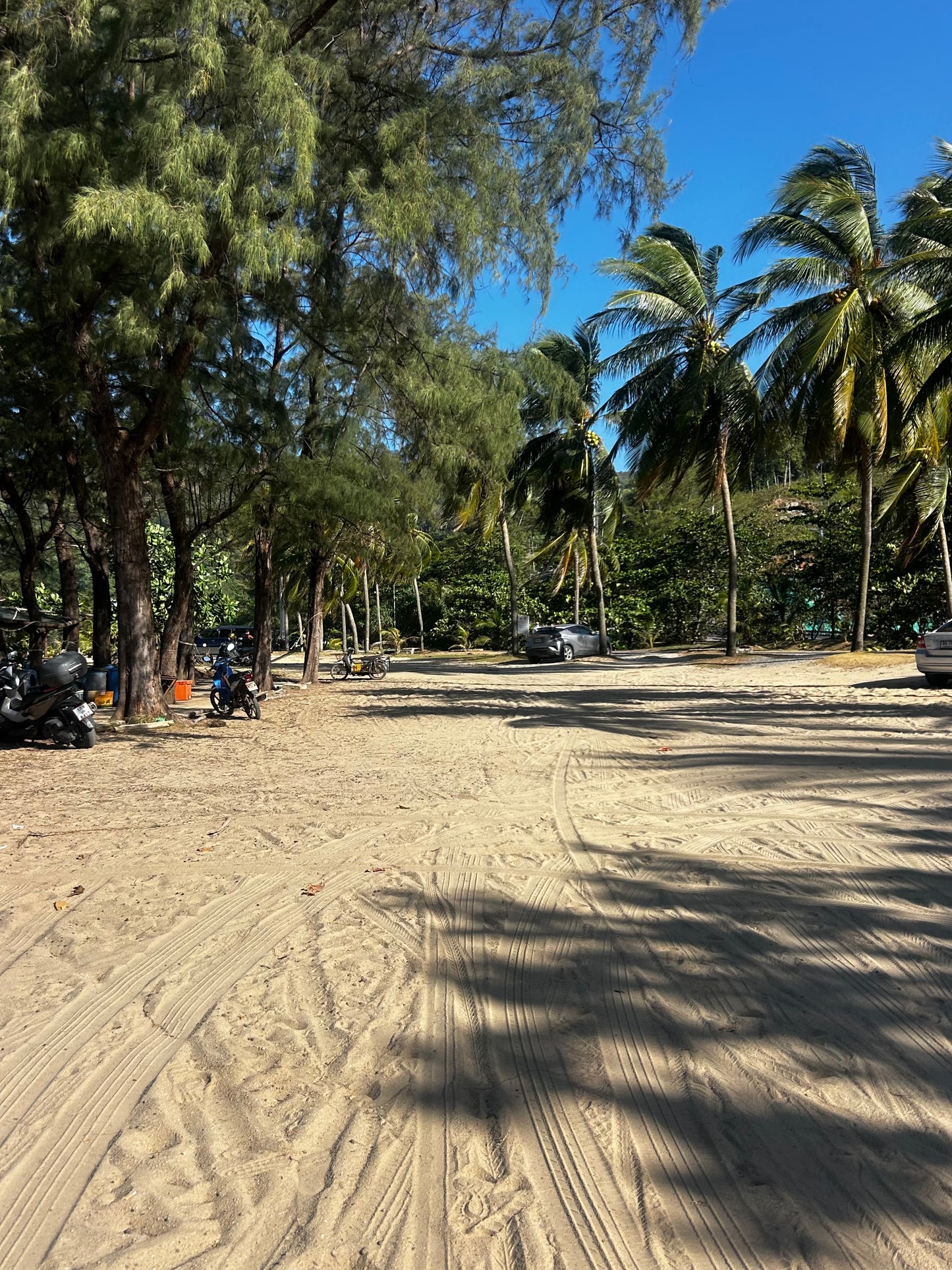 The Running Camp May 2026